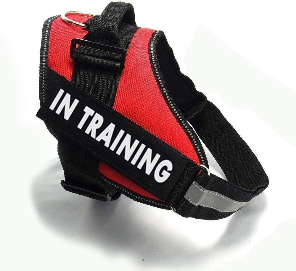 in Training Dog Patches, Reflective and Removable Dog Tags for Service Vest Dog Harness