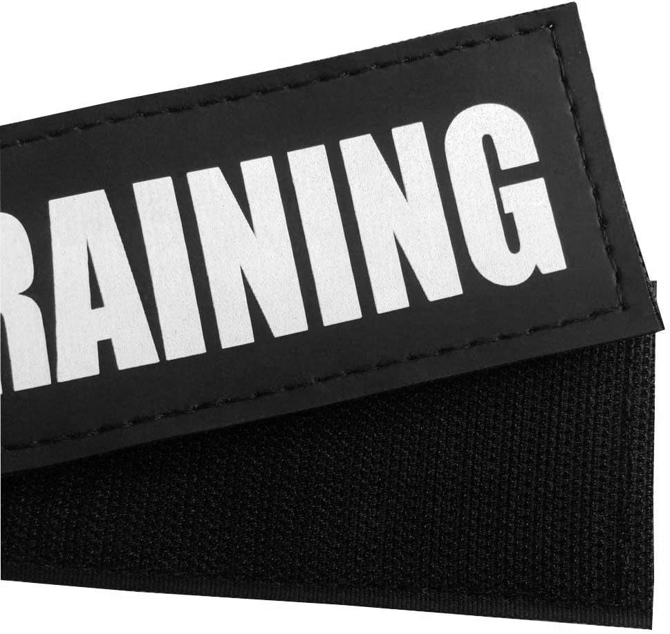in Training Dog Patches, Reflective and Removable Dog Tags for Service Vest Dog Harness
