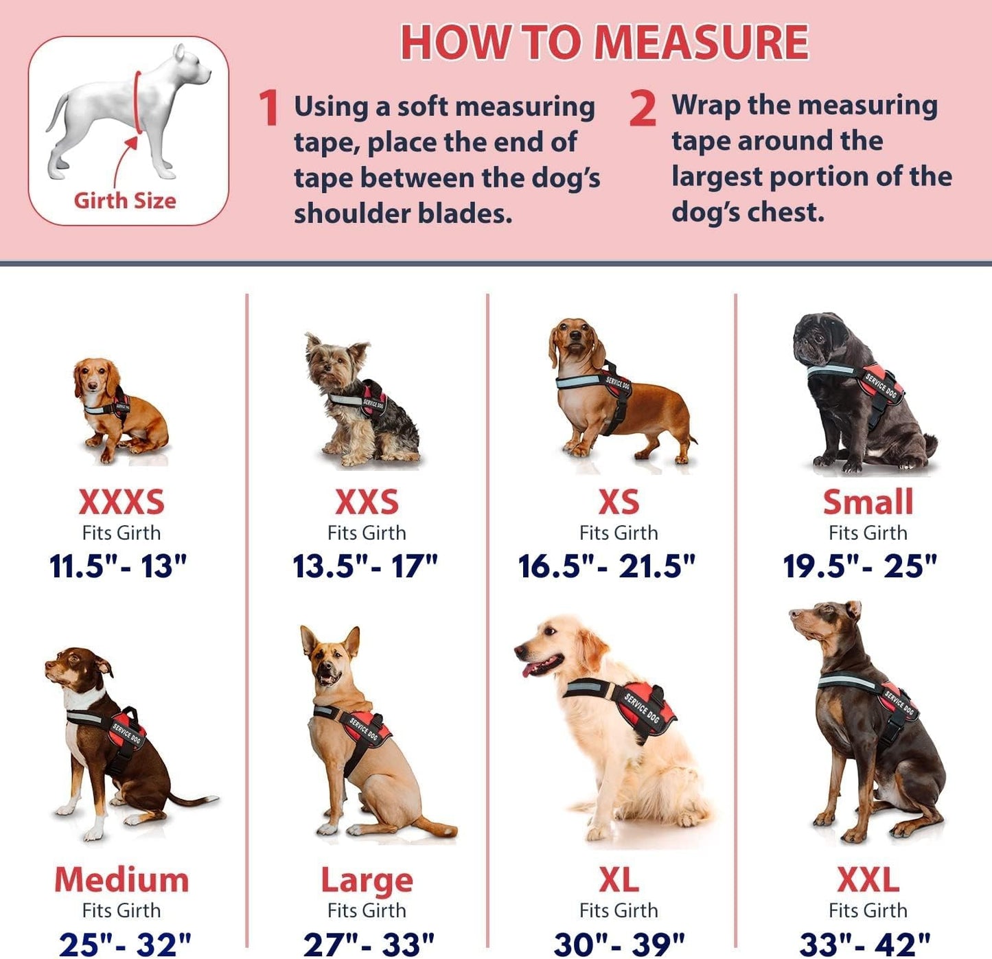 Service Dog Vest with Hook and Loop Straps and Matching Service Dog Leash Set - Harnesses from XXS to XXL - Service Dog Harness Features Reflective Patch and Comfortable Mesh Design