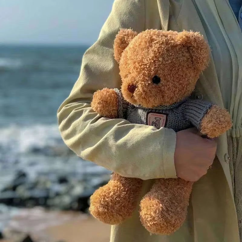 30Cm40Cm Plush Sweater Bear Toys Dolls Dolls Cute Dress up Bear Birthday Gift Soothing Sleep